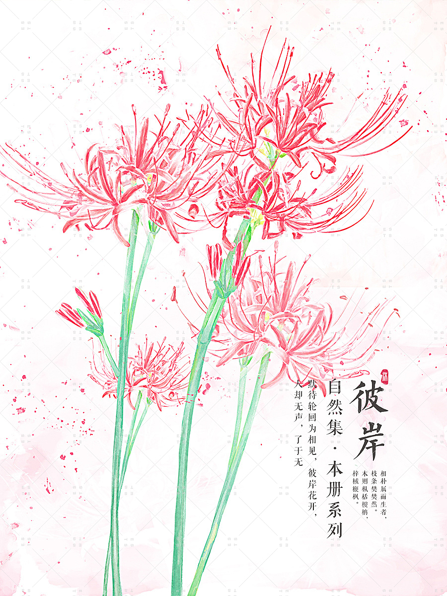 那些花儿-2（图ZMTM3OTMwNTA0） - 创作习作 - 站酷设计师ESTS原创素材 - 站酷ZCOOL