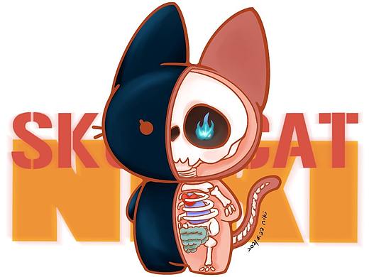 半骨小猫猫
