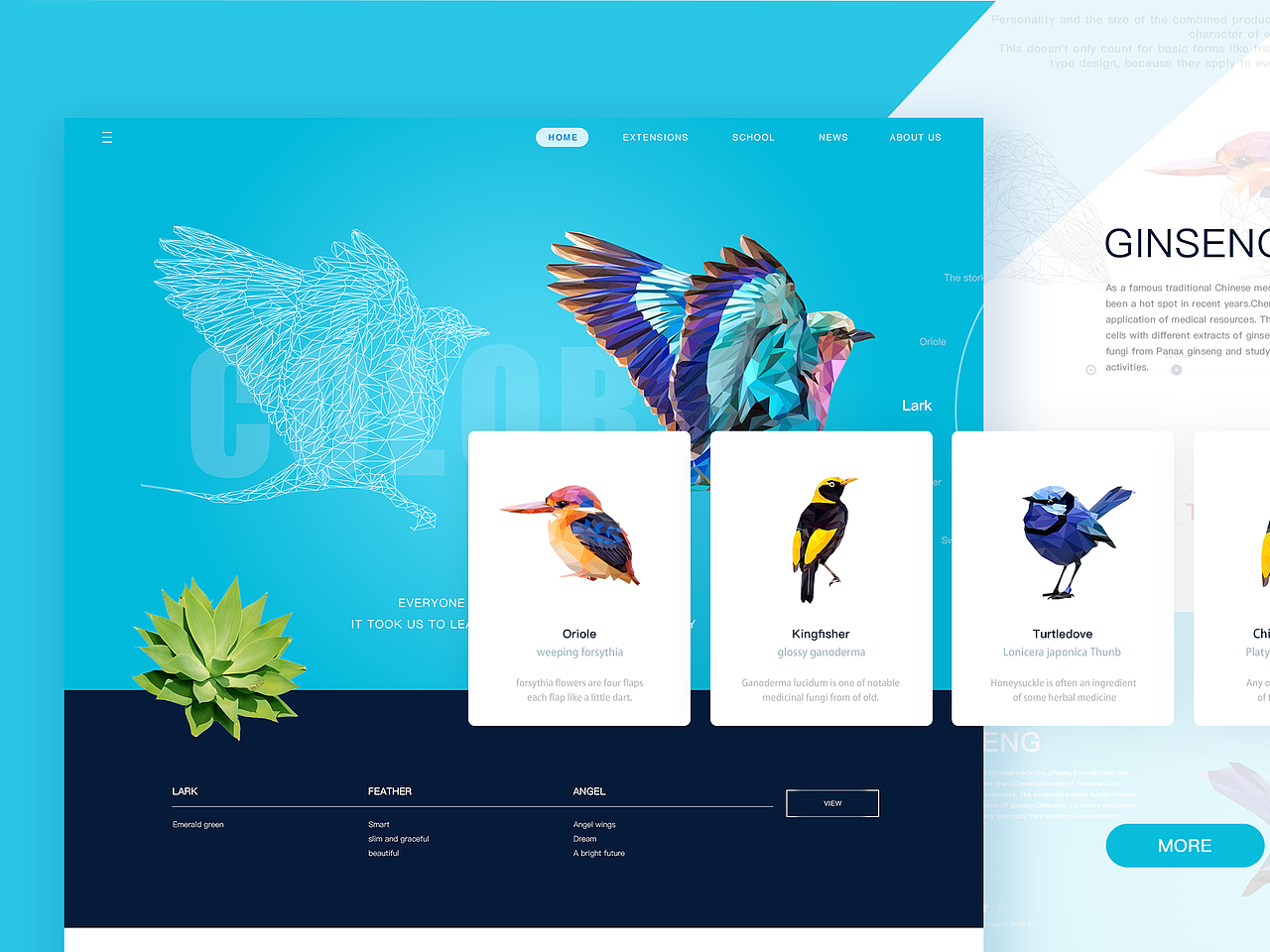 网页设计——梦想鸟