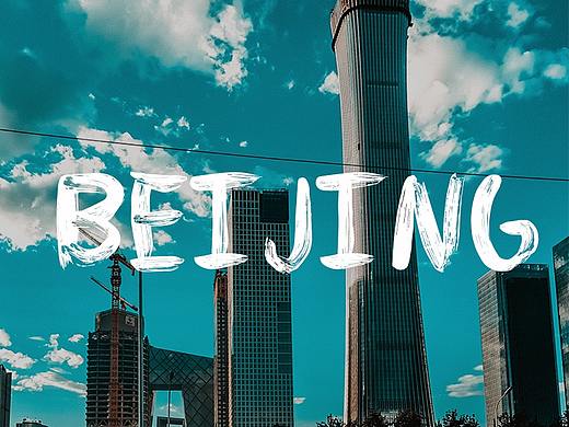 心有猛虎 细嗅像素《二》