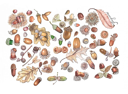 拾落落的個人主頁（背景預(yù)覽） - 主頁背景設(shè)置 - 站酷設(shè)計師拾落落原創(chuàng)素材 - 站酷ZCOOL