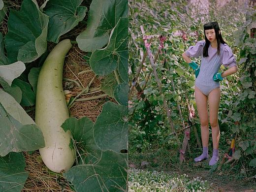 谨以此篇致敬米勒以及赞美-【秋收】