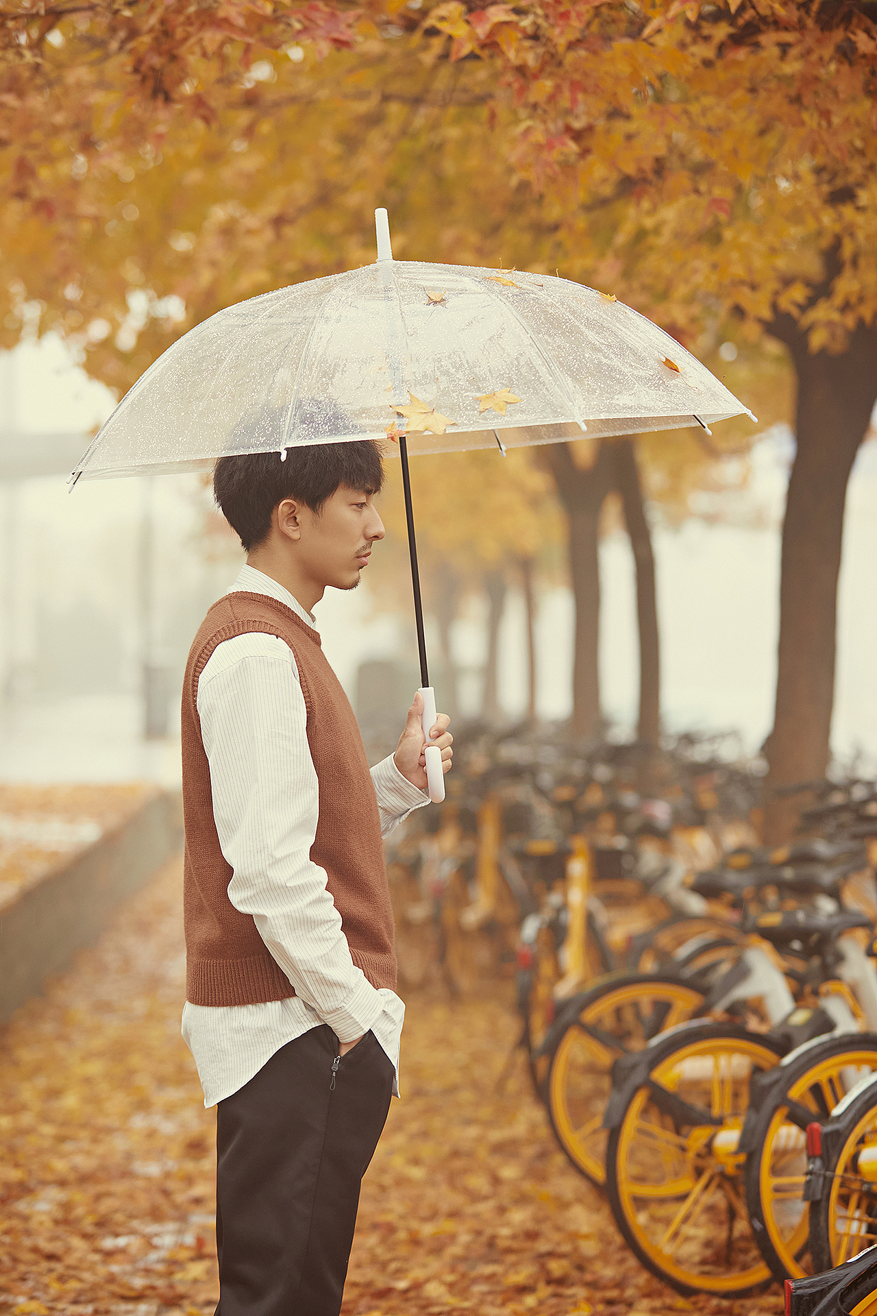 第一片雪花到来之前