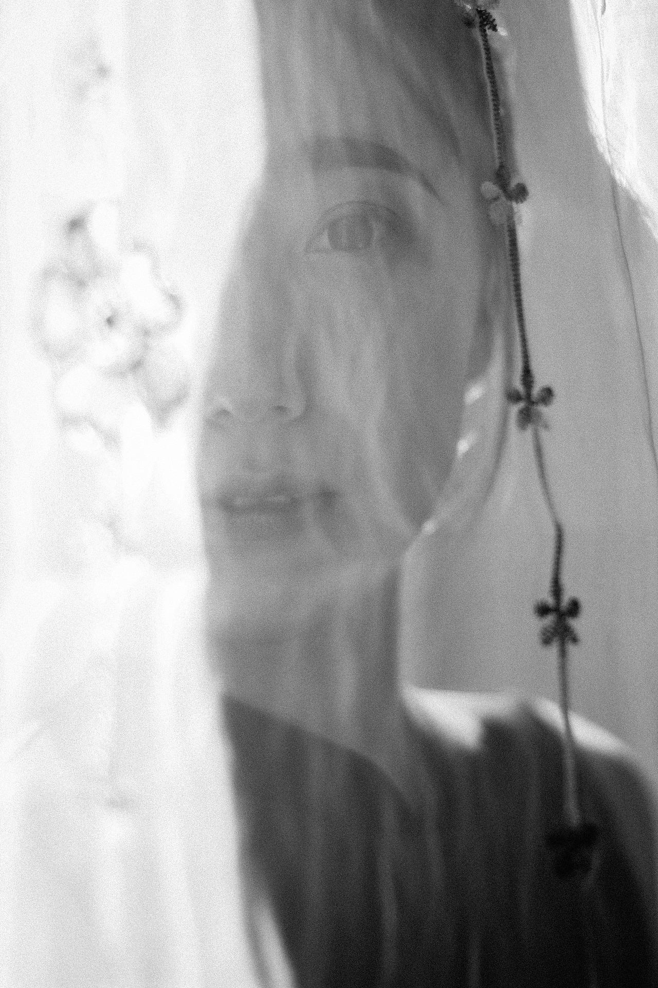 那些光影里的舞蹈梦