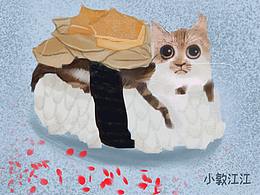 一只猫的周末时光