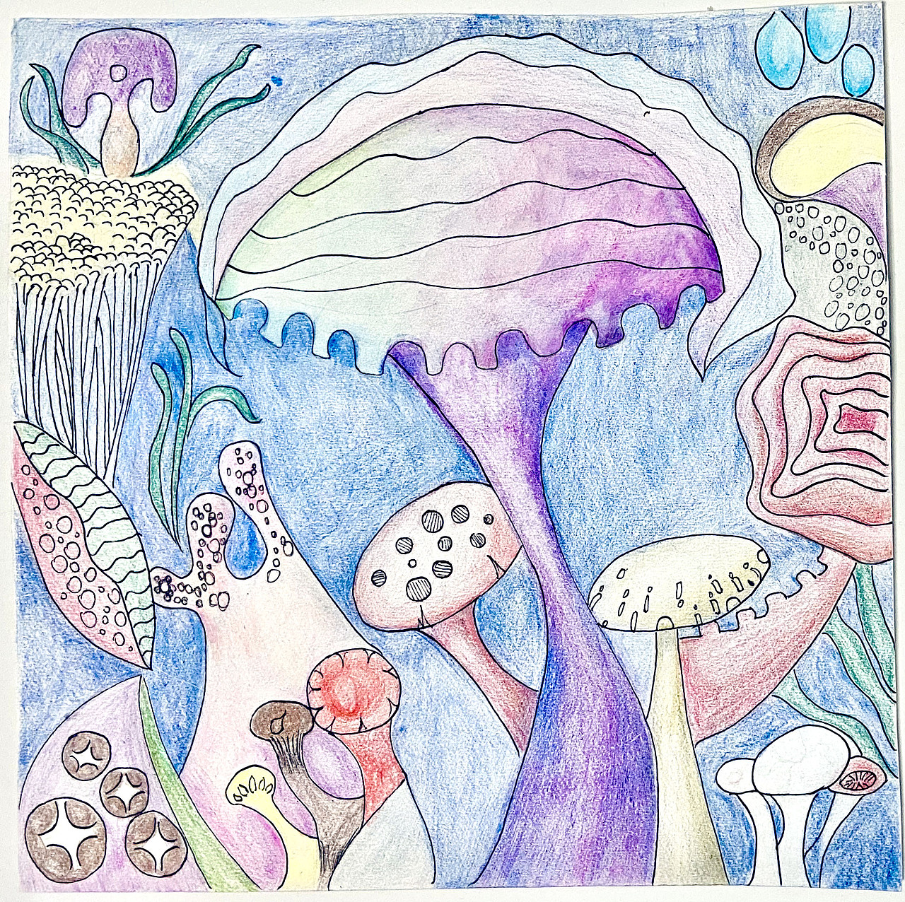 《装饰与图案》视传19-3 植物纹样设计