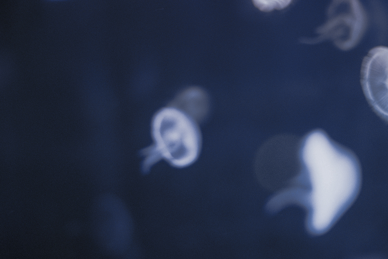 Fall in blue.（圖ZMTQ4NjU5NDc2） - 人像攝影 - 站酷設(shè)計(jì)師hi椰樹原創(chuàng)素材 - 站酷ZCOOL