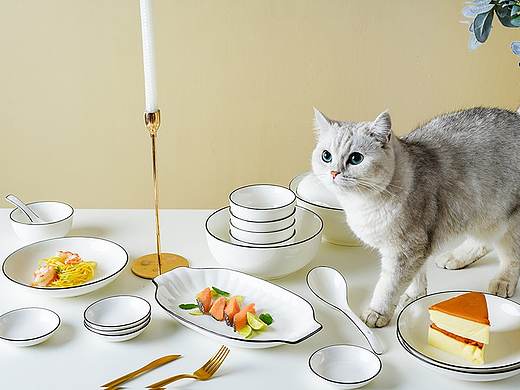 家 ● 黄色 ● 猫