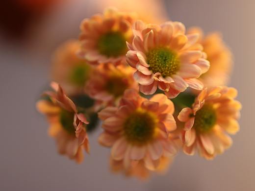 近在眼前的远方