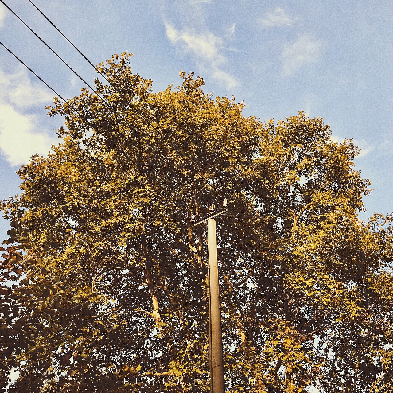 iPhone7plus 风景照片拍摄记录（图ZNjM1ODA2Njg=） - 风光摄影 - 站酷设计师twstc原创素材 - 站酷ZCOOL