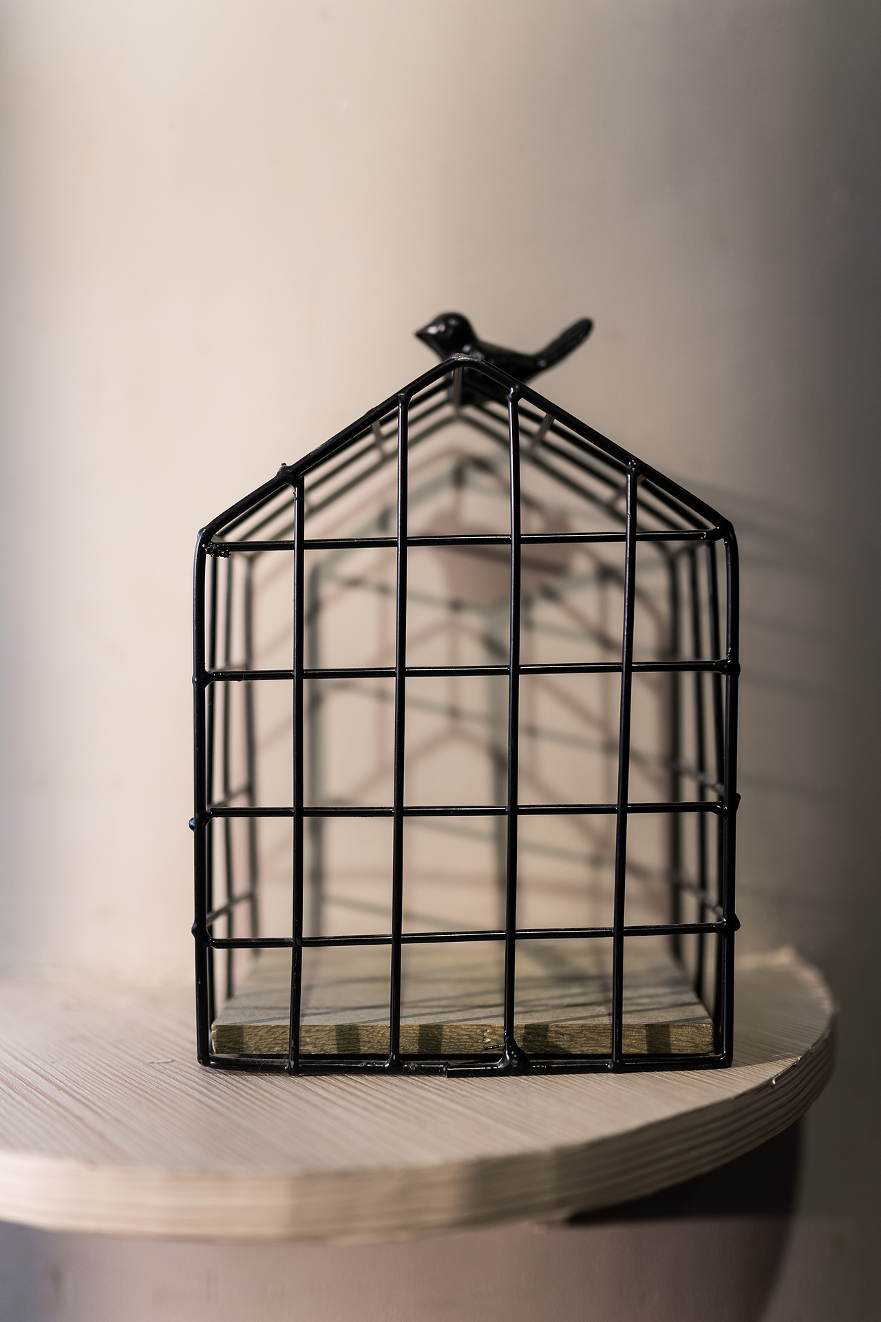 南京新街口猫咖静摄（图ZMTg1MDQ4MDUy） - 产品摄影 - 站酷设计师JingPacify原创素材 - 站酷ZCOOL