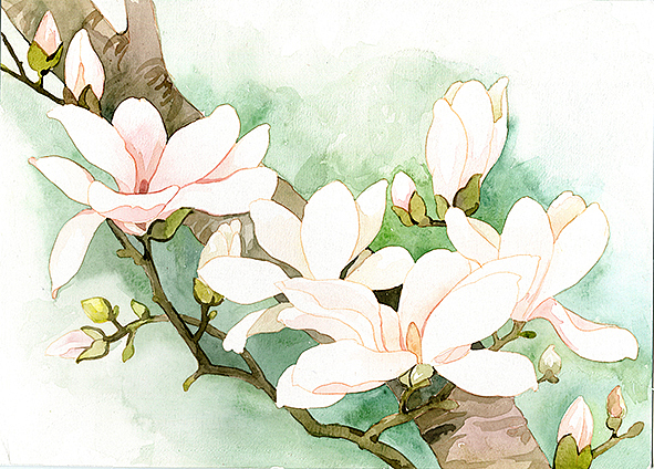 二十四番花信风(图ZNTIwMDAxMjQ=) - 商业插画 - 站酷设计师小石头1125原创素材 - 站酷ZCOOL