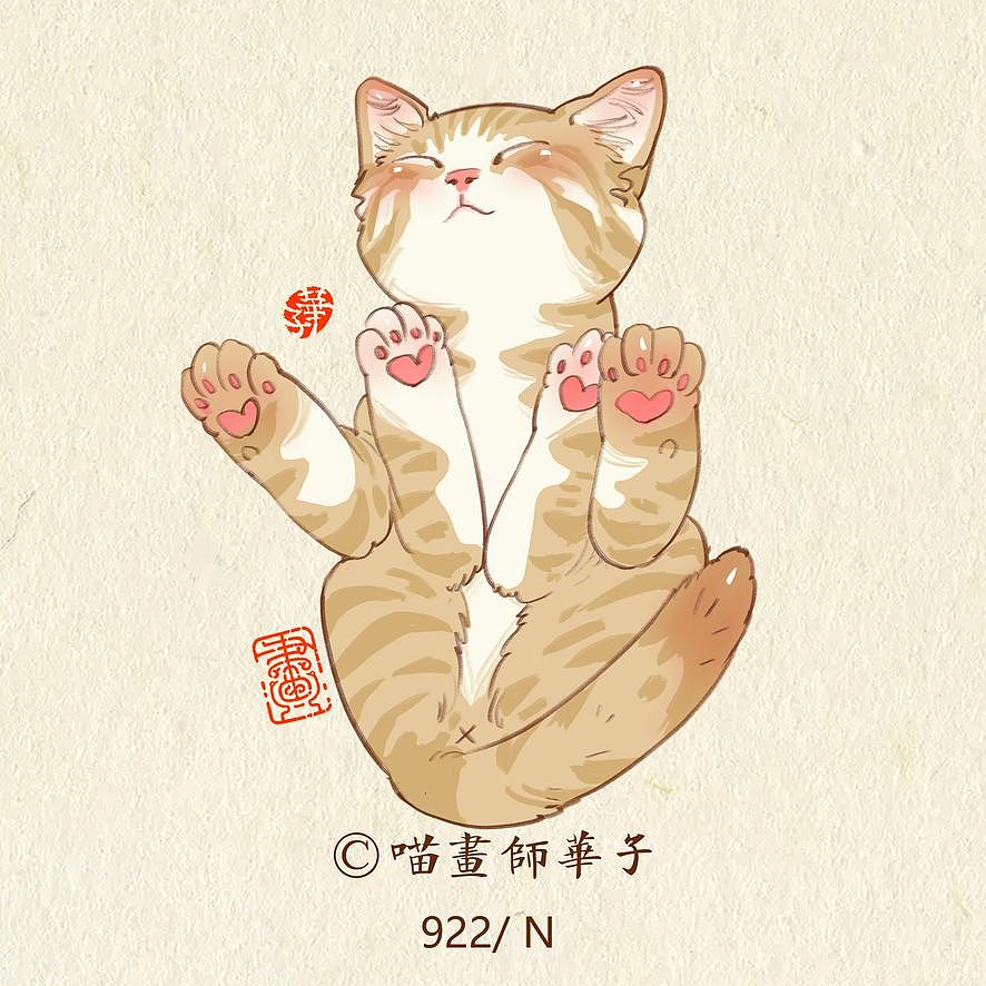 画猫的第三季250天,937天的画猫纪录