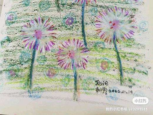 蒲公英图案