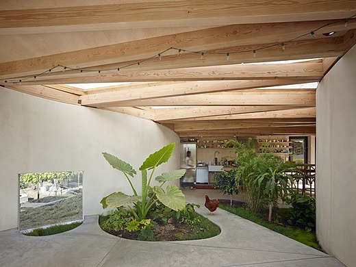 室内植物花坛-促使良好环境生活空间