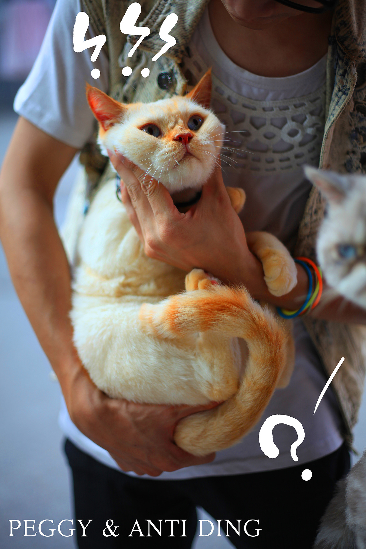 我的家的二大宝新专辑!《拜基vs反丁》~啊哈哈最新弹~