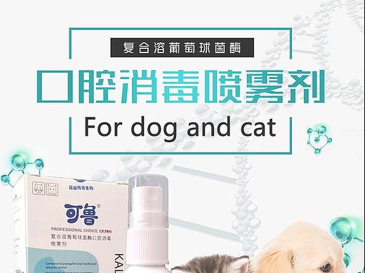 寵物-口腔噴劑 詳情（個人主頁-ZMzM1NzgyNjg=） - 電商 - 站酷設(shè)計師依不忘菲原創(chuàng)素材 - 站酷ZCOOL