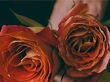 飞机稿 | 你有被吸引嘛?