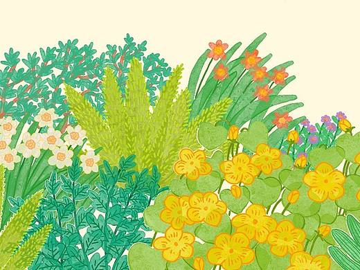 植物（个人主页-ZNjY4NzM2MDg=） - 其他 - 站酷设计师雷雷lyw原创素材 - 站酷ZCOOL