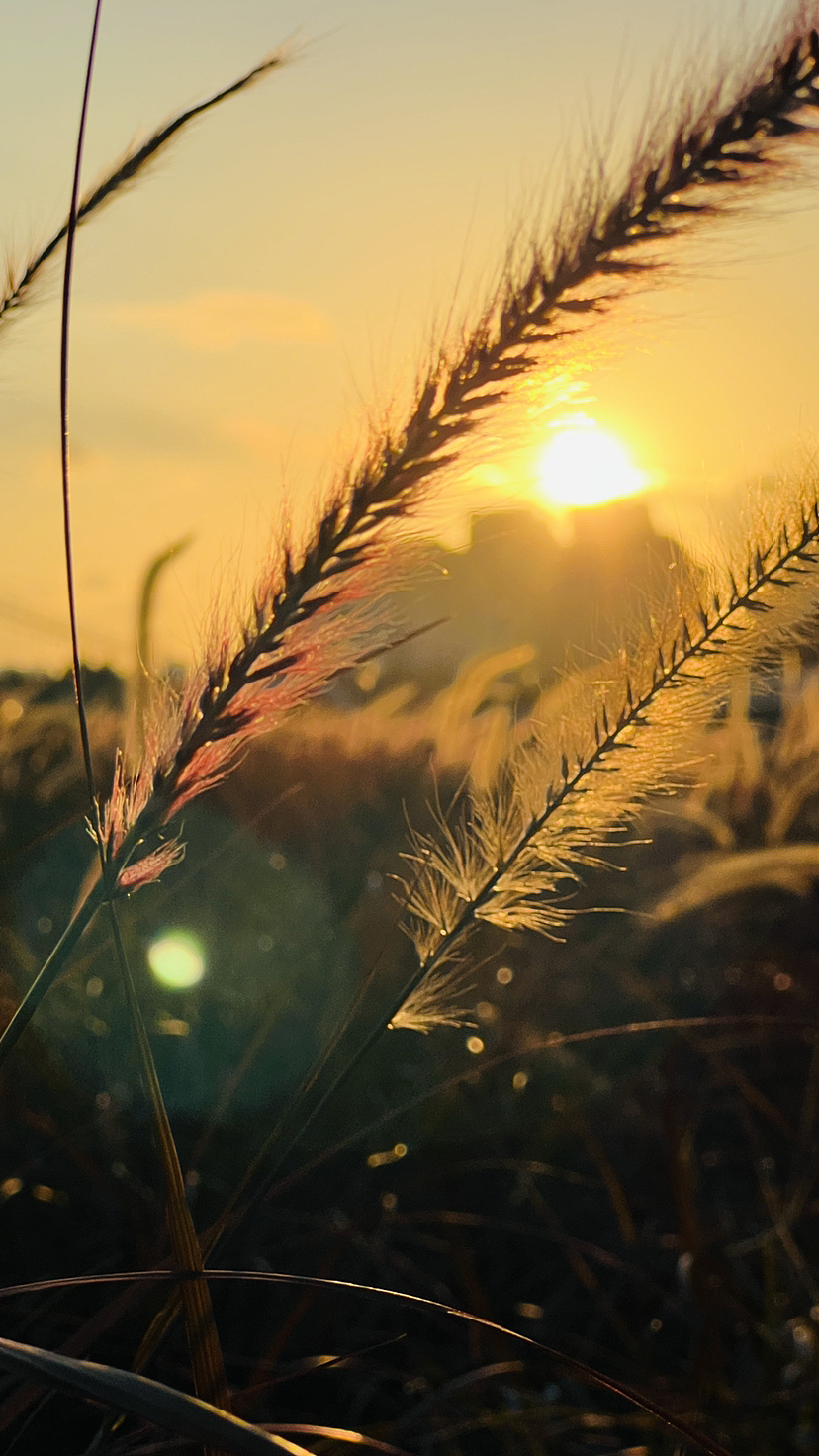 生活随拍（图ZMzQyODU5NzY4） - 人文/纪实摄影 - 站酷设计师tangjianyi原创素材 - 站酷ZCOOL