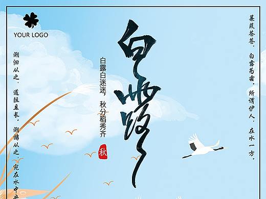 白露节气简约插画海报