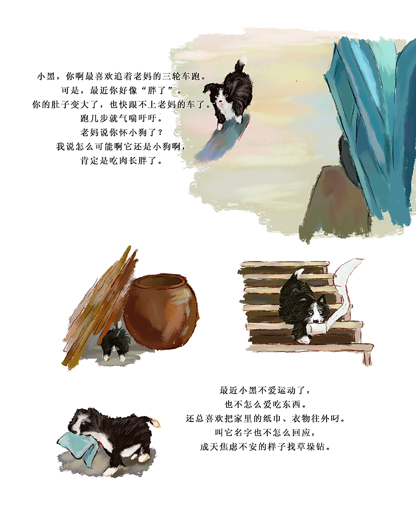 狗这一辈子