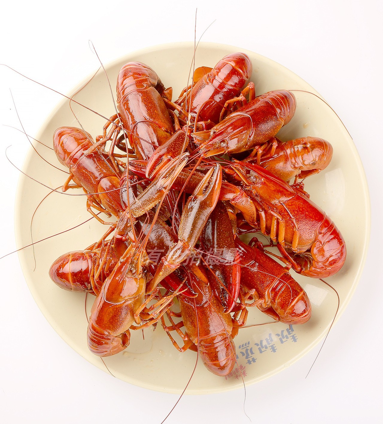 深圳电商生鲜食品美食摄影--龙虾拍摄