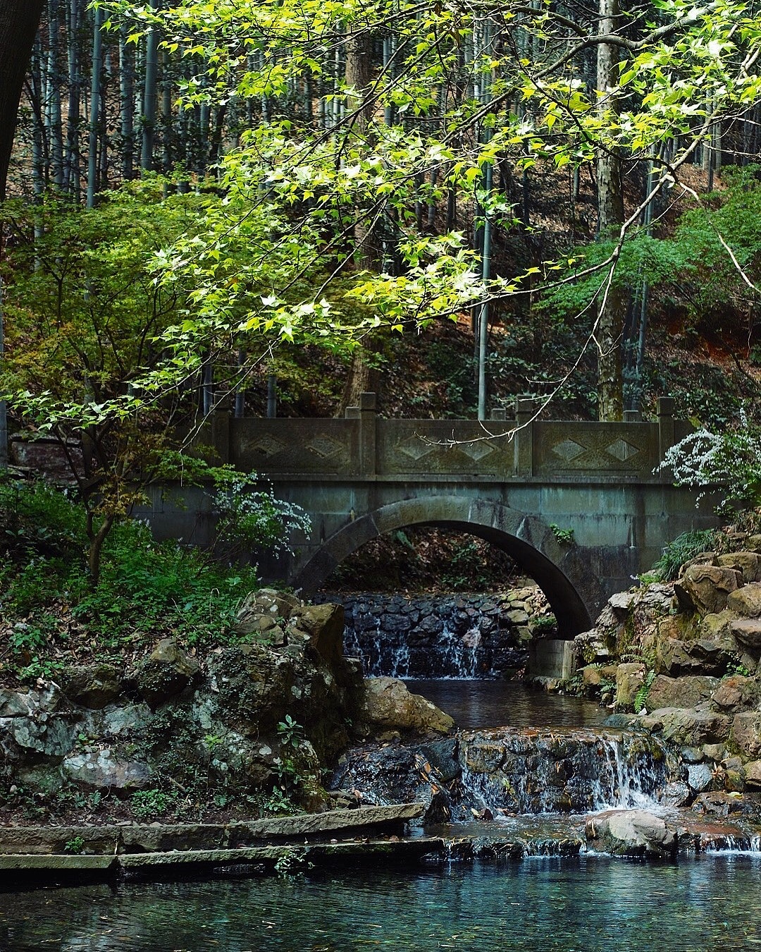 走南闯北,咀嚼城市细节