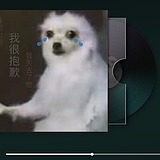 白云坨子的头像