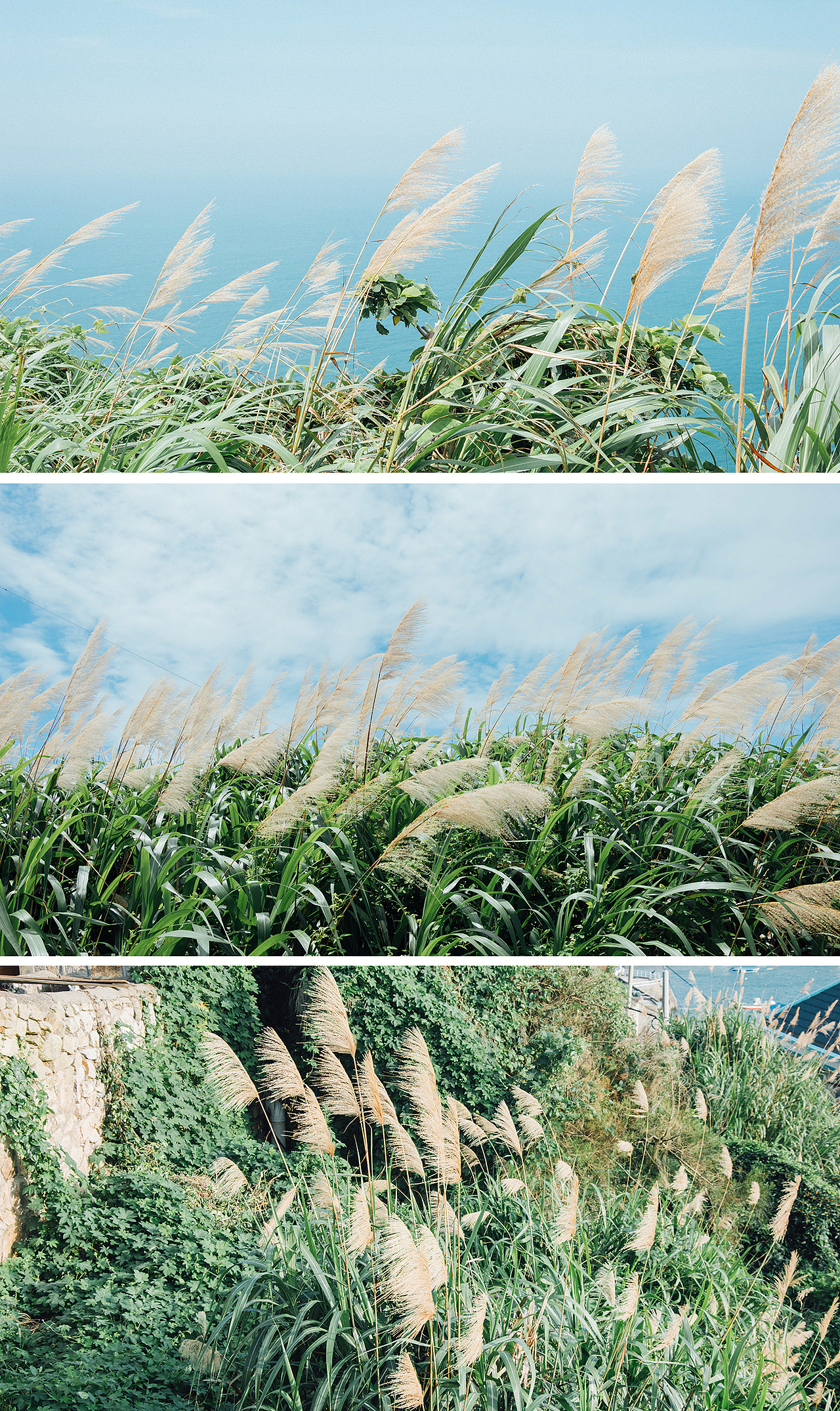 日系胶片风景调色教程