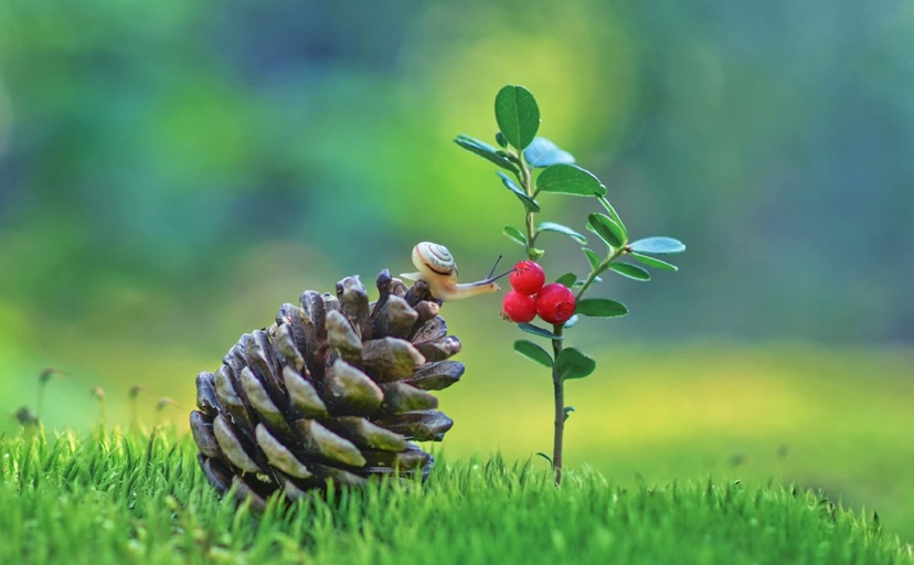 幻鸟飞的个人主页（背景预览） - 主页背景设置 - 站酷设计师幻鸟飞原创素材 - 站酷ZCOOL