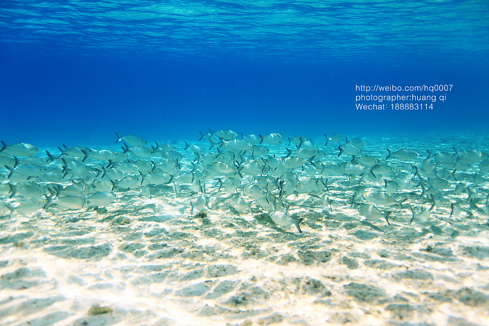 水下摄影（图ZNDUxNTYzMjA=） - 人像摄影 - 站酷设计师摄影师黄棋原创素材 - 站酷ZCOOL