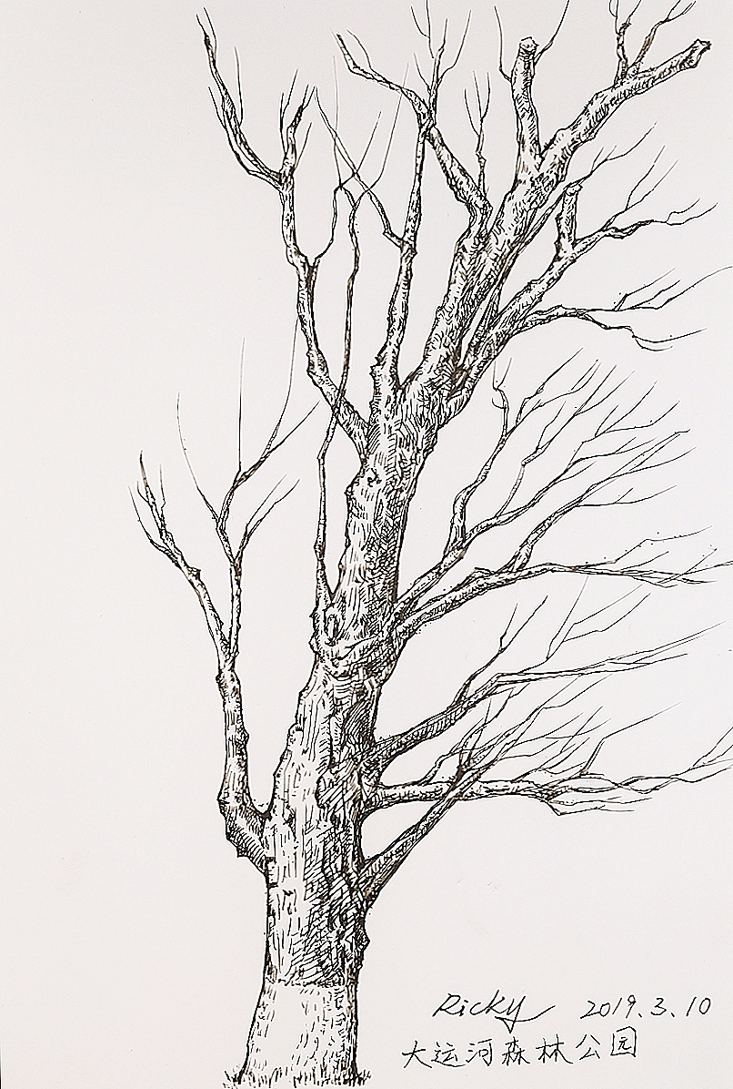 枯藤老树龙虾 小桥流水蛤蟆