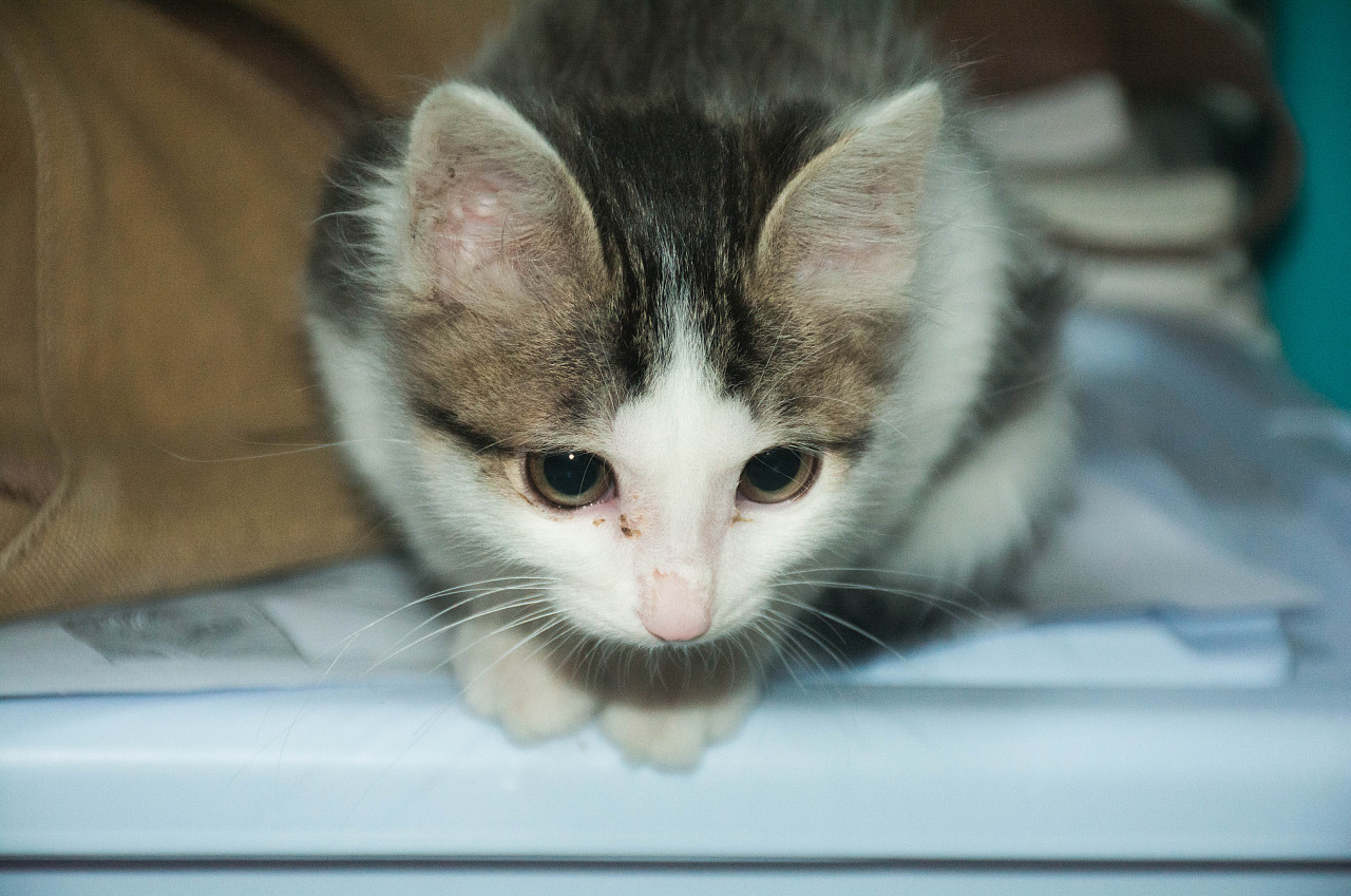 男生 相关的内容 自媒体热点