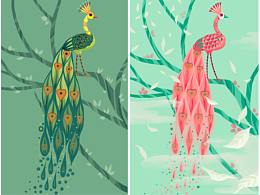 孔雀插畫練習(xí)