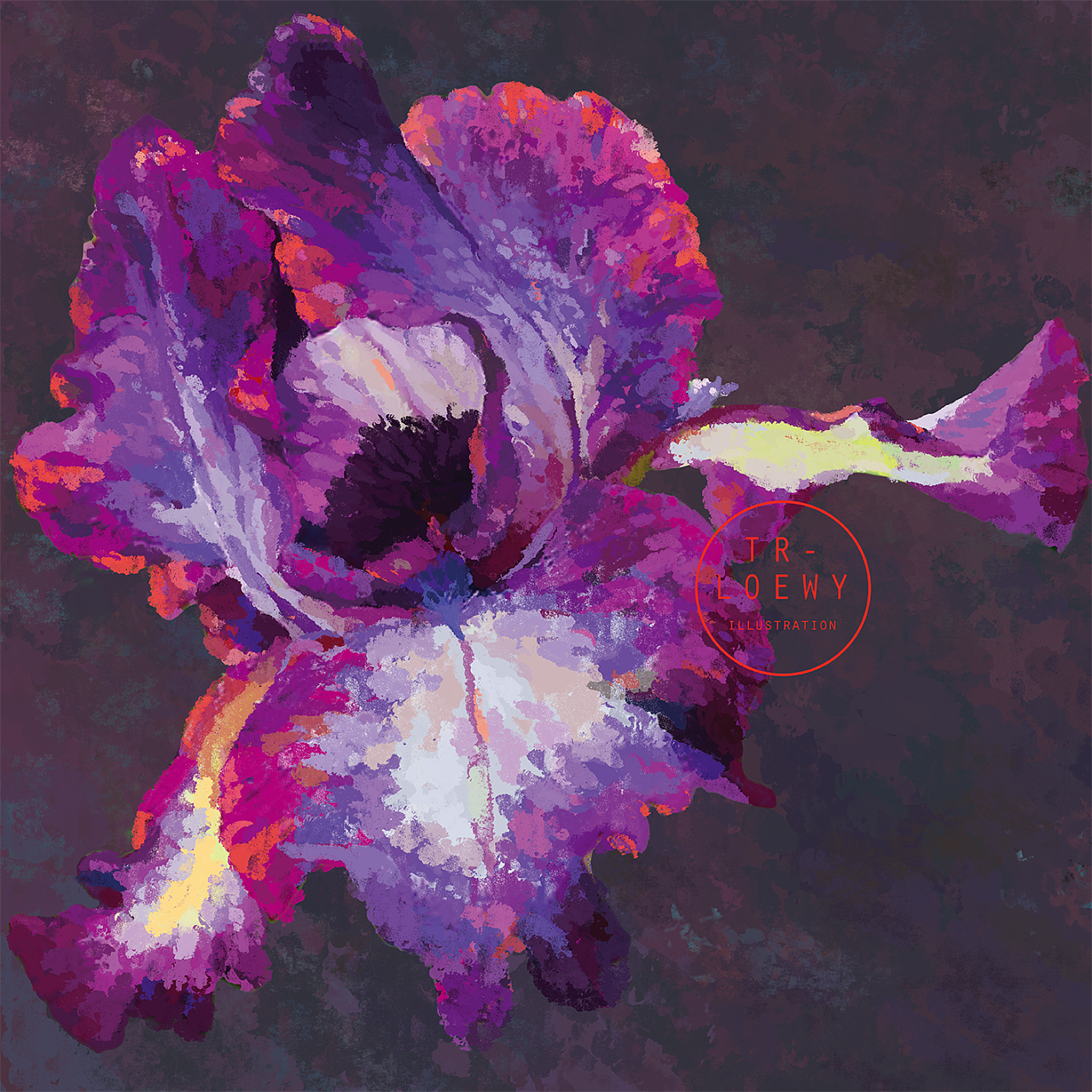 鸢尾花|插画|创作习作|画画的陶然 - 原创作品 - 站酷 (zcool)