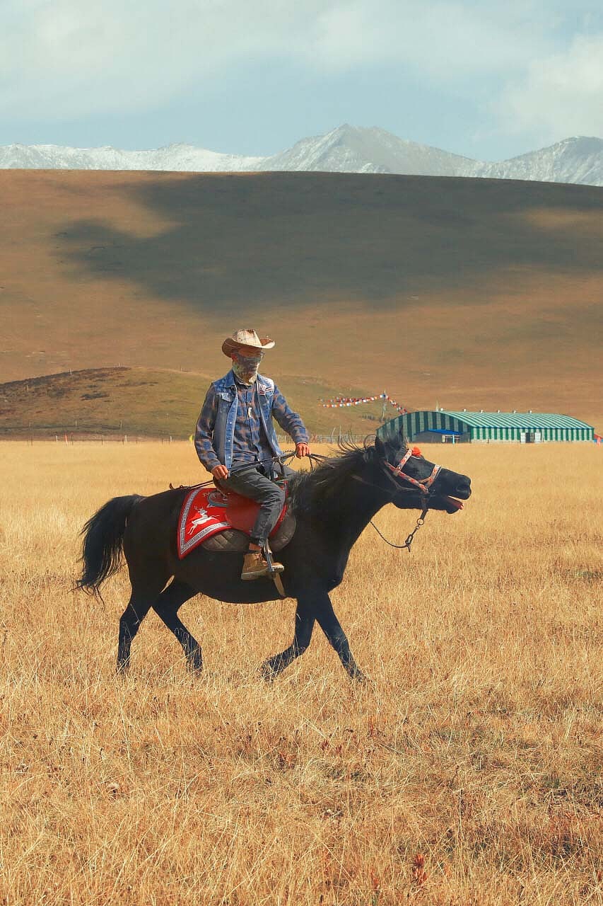 青海、甘肃七日行