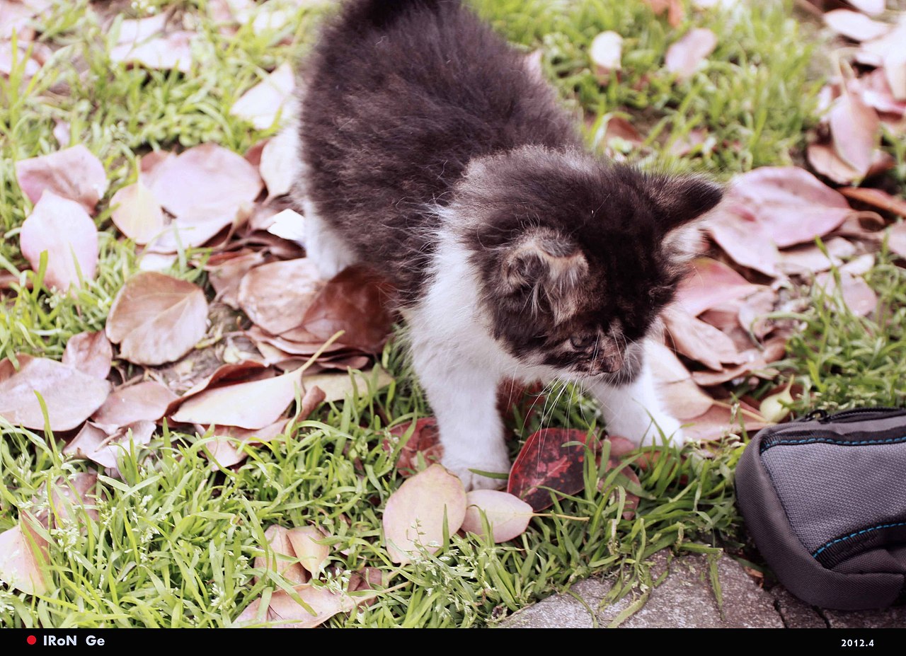 我喜欢到处散步~（图ZNTQ5NTA0OA==） - 风光摄影 - 站酷设计师iron1985原创素材 - 站酷ZCOOL