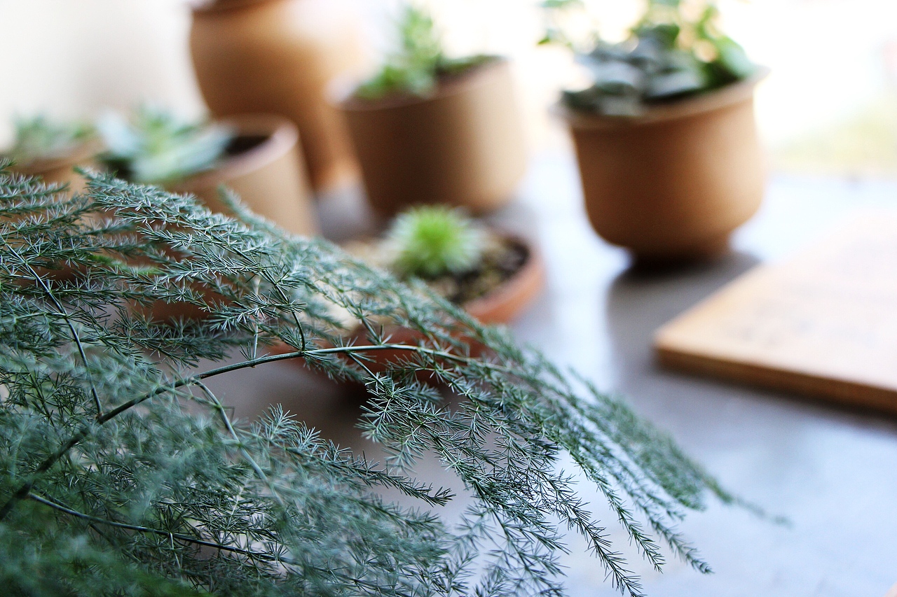 大学日常摄影作品