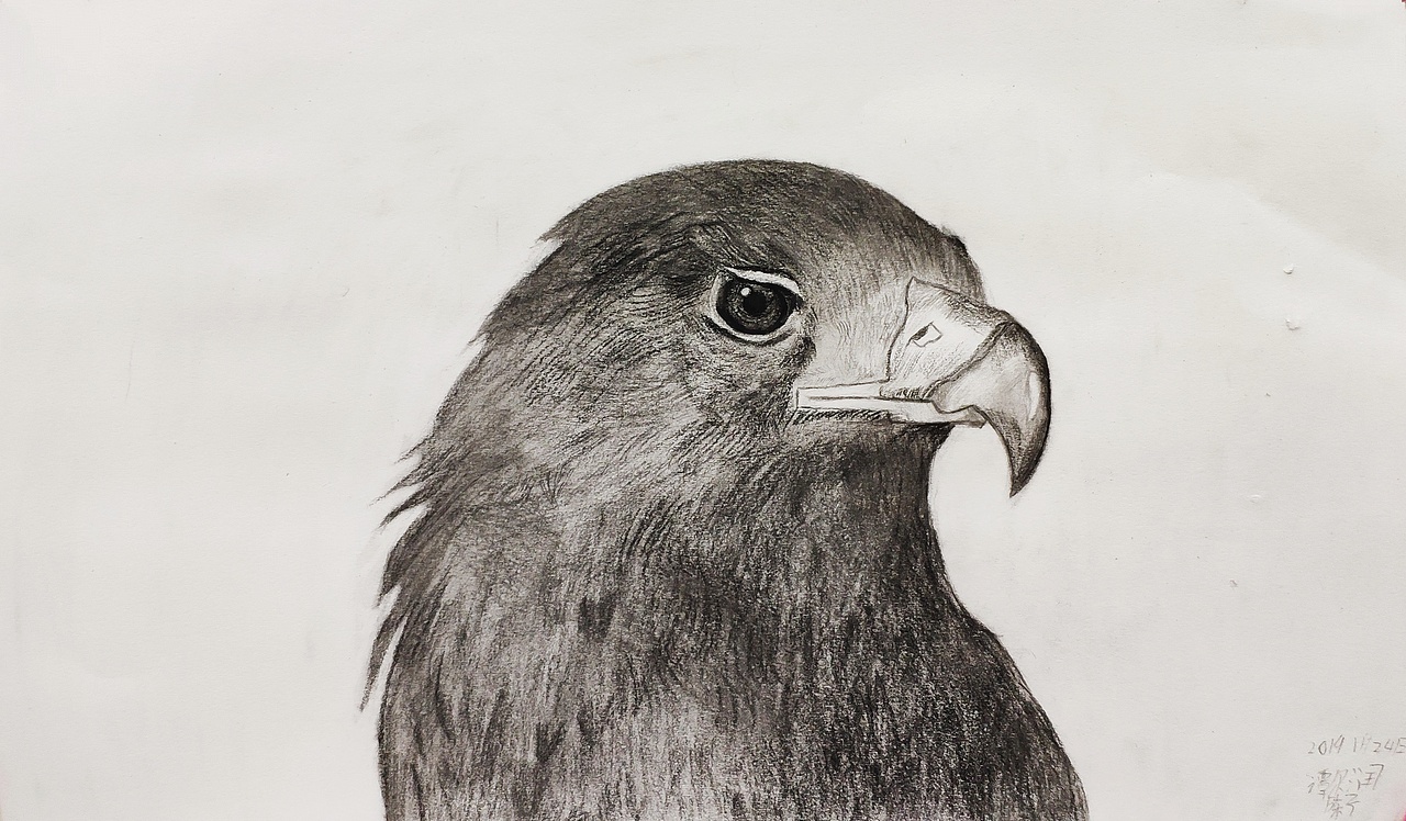 陈子画室 星沙画室 长沙县画室长沙画室 素描 油画漫画