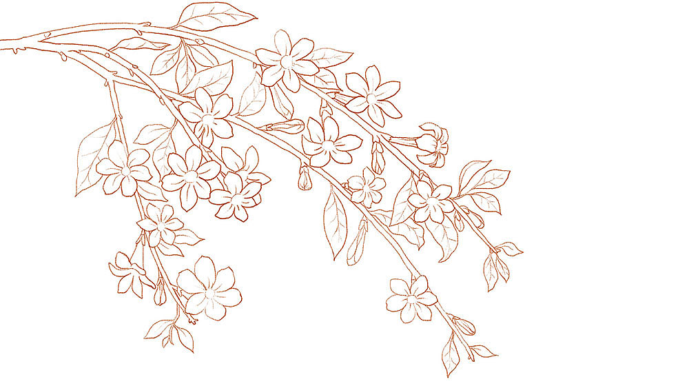 迎春花水彩风格插画