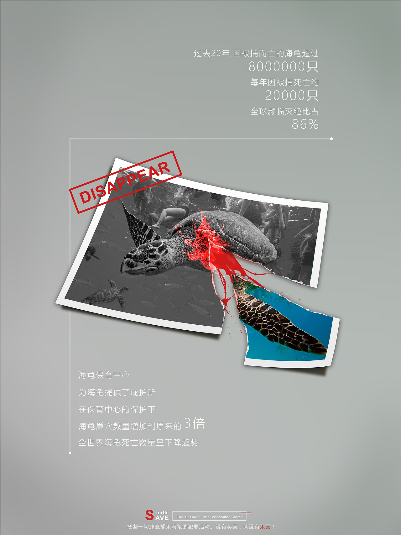 斯里兰卡海龟被列为世界极度濒危动物.