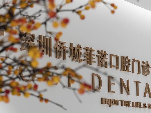 深圳上诚×菲诺口腔 | 现代高端医疗空间的设计标准，先疗愈心灵，再治病