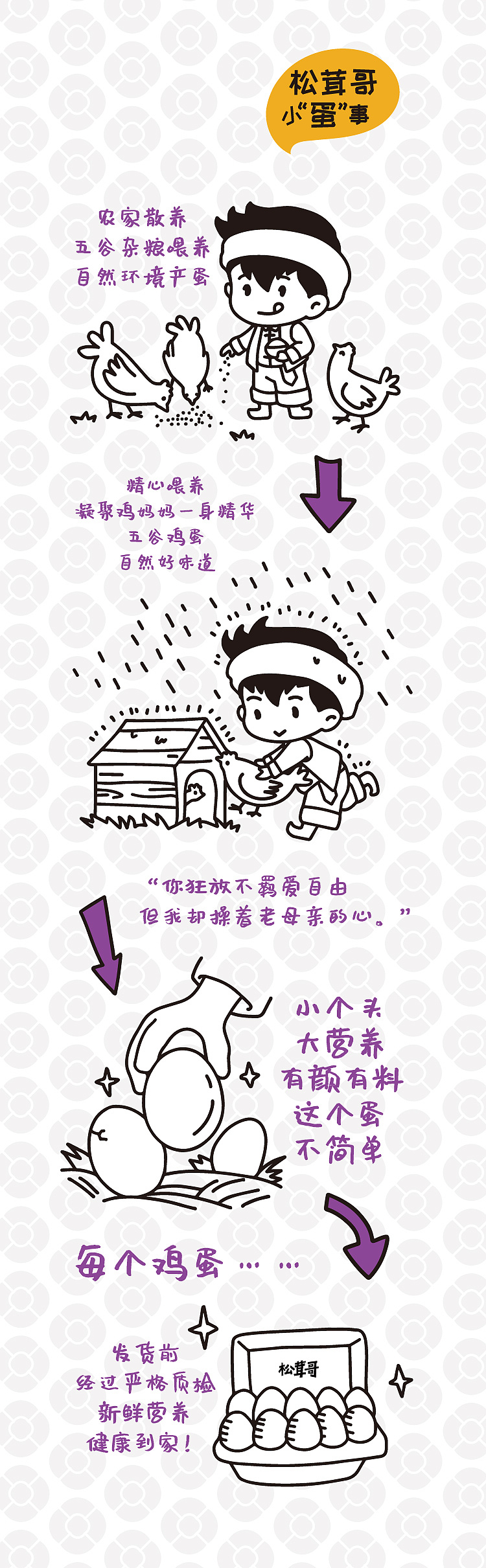 “松茸哥”品牌规划及设计