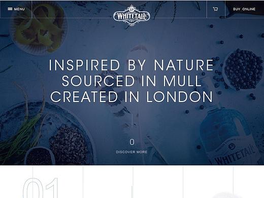 产品网站（个人主页-ZMzQ4NDc5NjA=） - 企业官网 - 站酷设计师小狐狸LK原创素材 - 站酷ZCOOL