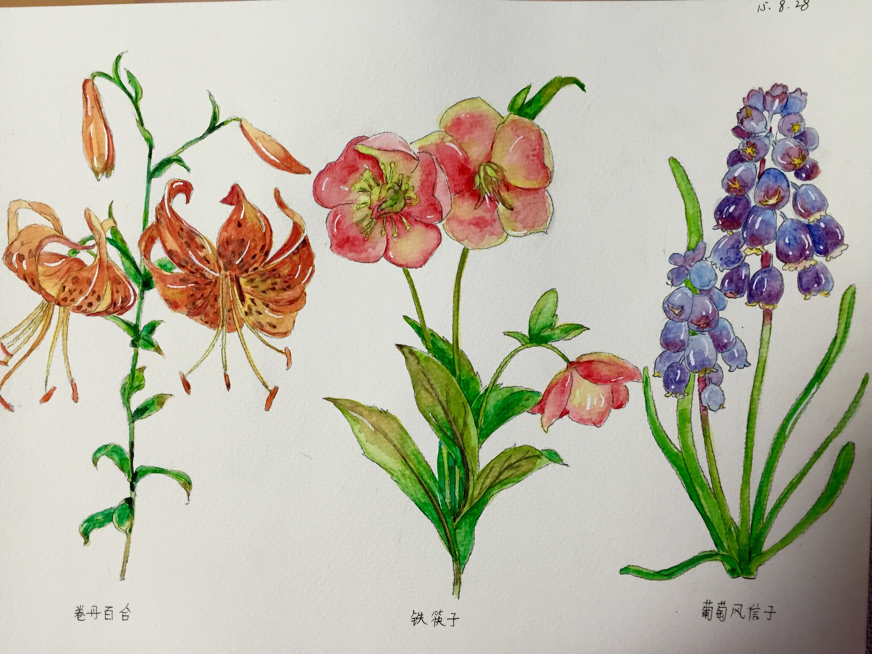 一组水粉画|插画|插画习作|颜嫣 - 原创作品 - 站酷 (zcool)