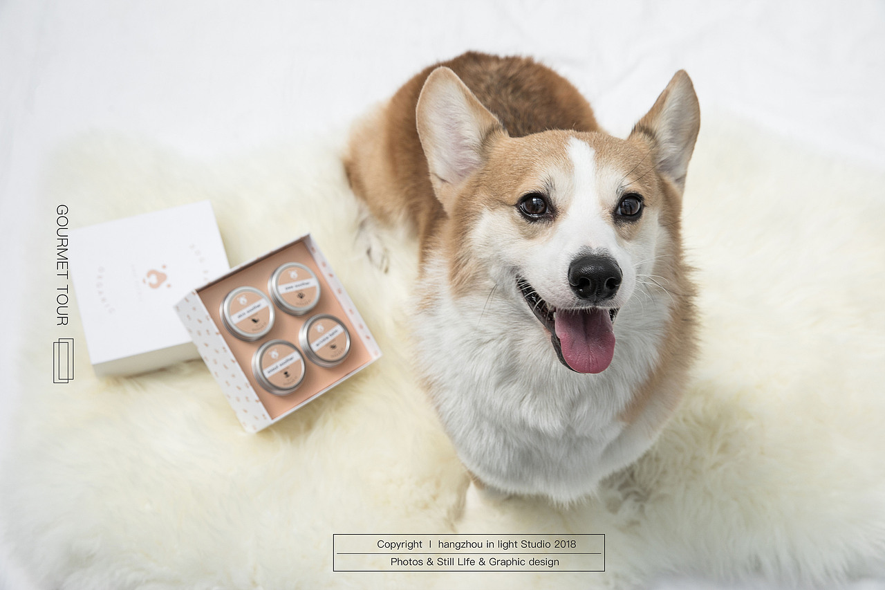 给你的狗狗不一样的爱(宠物护肤品)#IN LIGHT#