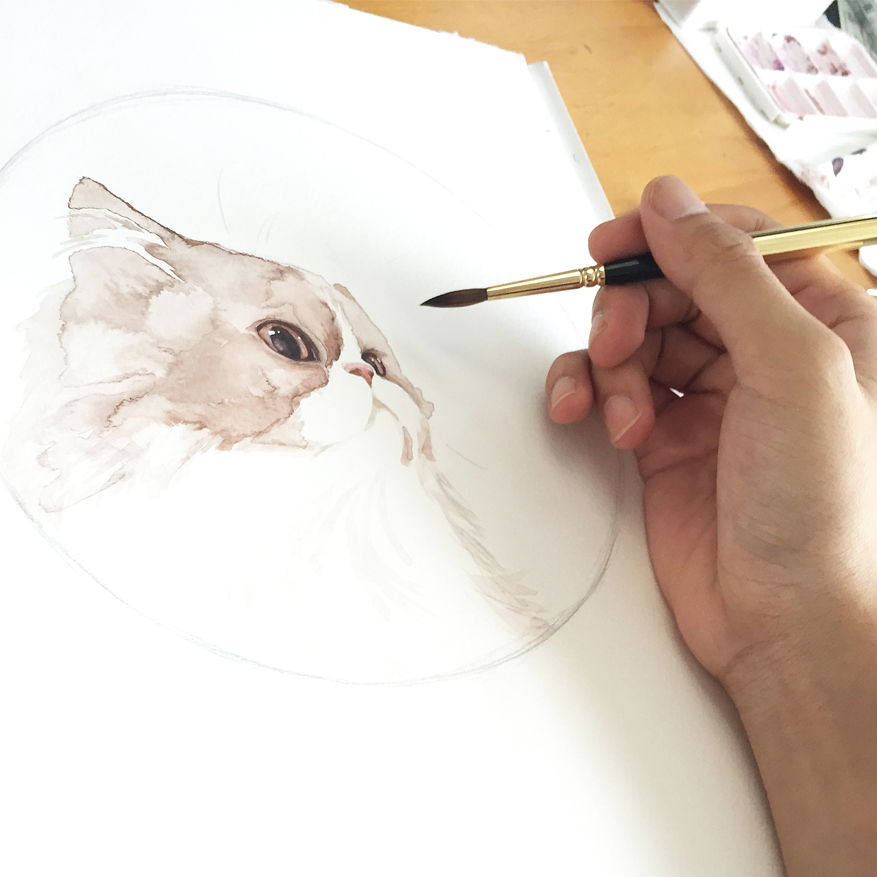 家里的魔法猫（图ZMzExMjE5MTI=） - 商业插画 - 站酷设计师毒物画家原创素材 - 站酷ZCOOL