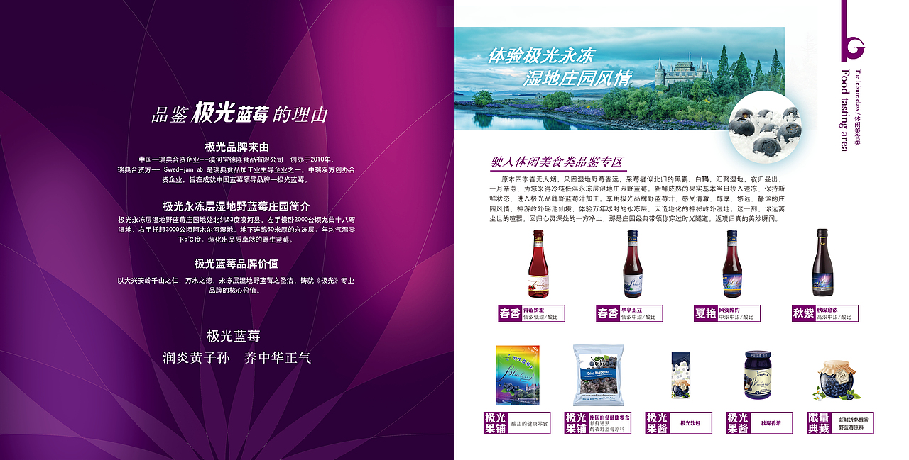 做的一个蓝莓的画册，板式（图ZNDUzNTY0Njg=） - 书籍/画册 - 站酷设计师LiteKong原创素材 - 站酷ZCOOL