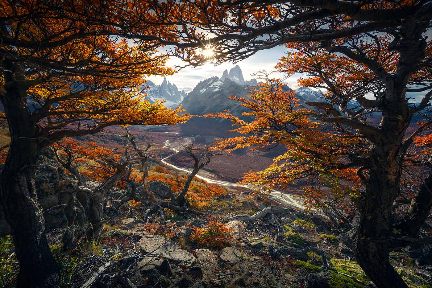 leoandjo的個人主頁（背景預覽） - 主頁背景設置 - 站酷設計師leoandjo原創(chuàng)素材 - 站酷ZCOOL